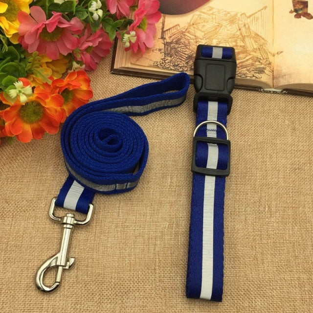 Small Dogs Harness Collar Leash Lead