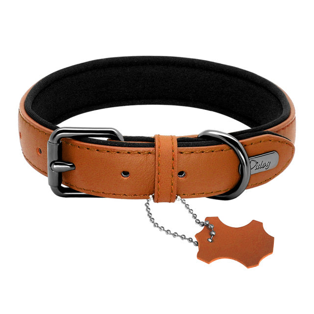Leather Dog Neoprene Padded Collar Leash Harness