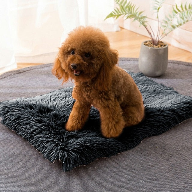 Winter Dog Bed Mat Soft Fleece Cushion - Dog Bed Supplies