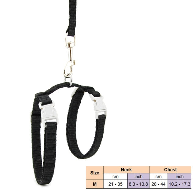 Dog Collar Harness Leash Nylon Pet