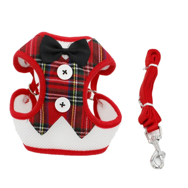 Puppy Cat Harness and Leash Set Dress Bow