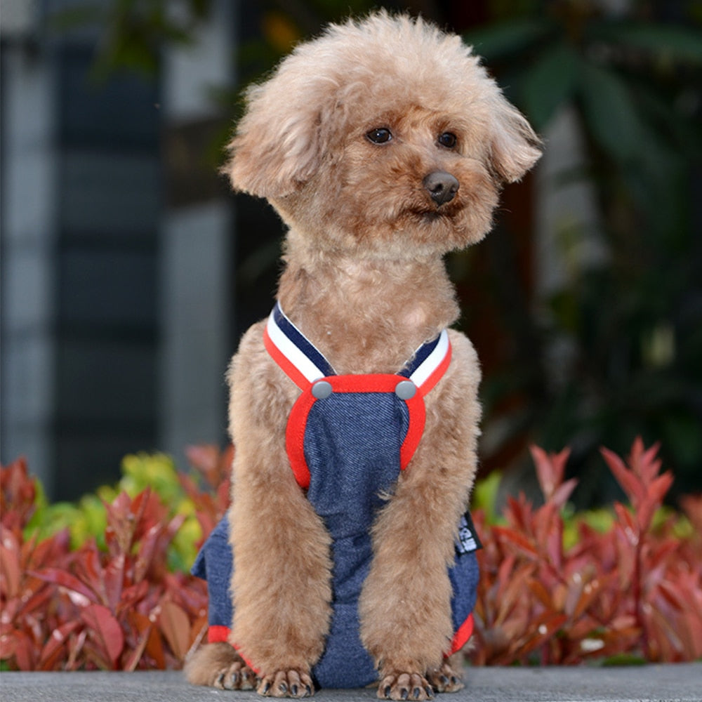 Pet Physiological Pants Sanitary Shorts