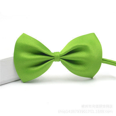 Kawaii Pet Necklace Adjustable Strap