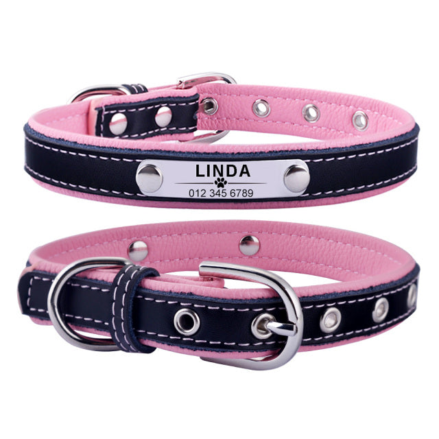 Dog Collar and Tie Custom Engraved