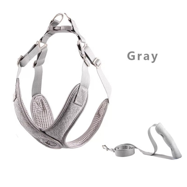 Reflective Dog Harness And Leash Set