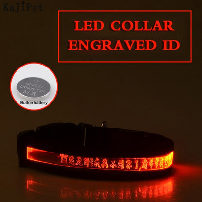 Engraved ID LED Dog Collar