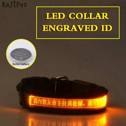 Engraved ID LED Dog Collar
