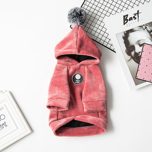 Winter Pet Dog Clothes Pug Clothing