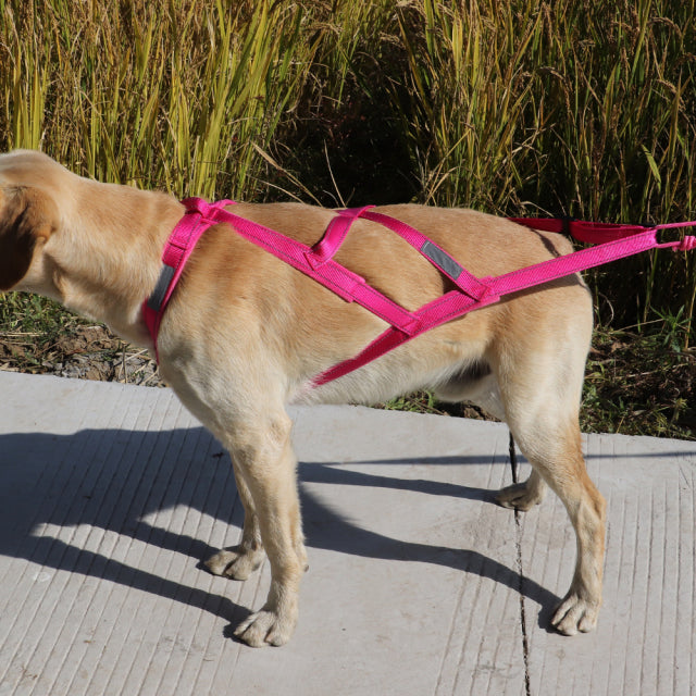 Sled Pulling Harness Mushing Back Harness