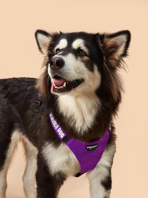 Dog Walking Harness with 2 Metal Rings and Handle