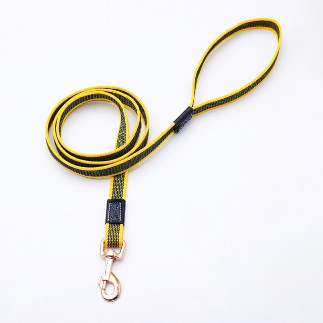Dog Leash Pet Lead Non-Slip Rubber