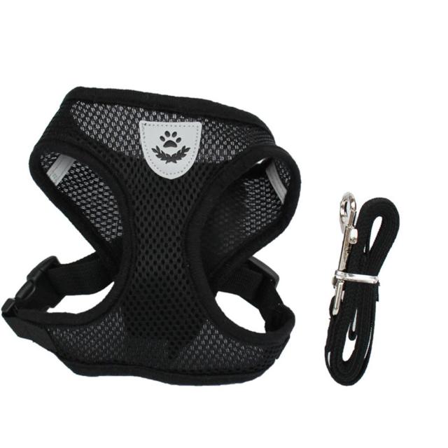 Breathable Mesh Harness and Leash Small Dog