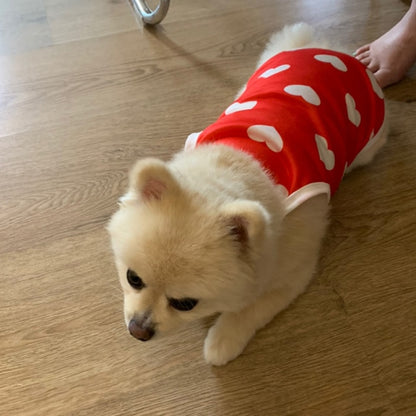 Comfortable Breathable Puppy Clothes
