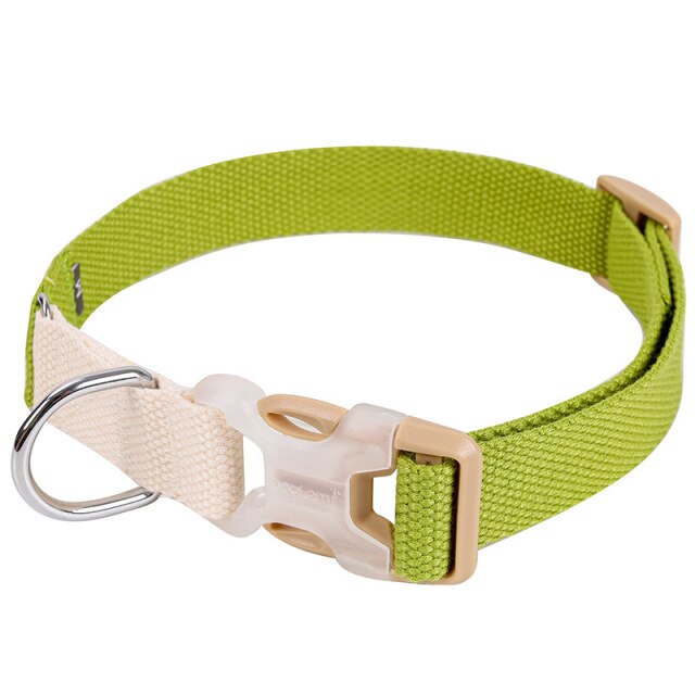 Fancy Nylon Pet Dog Collar