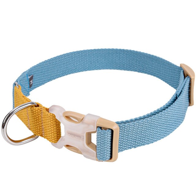 Fancy Nylon Pet Dog Collar