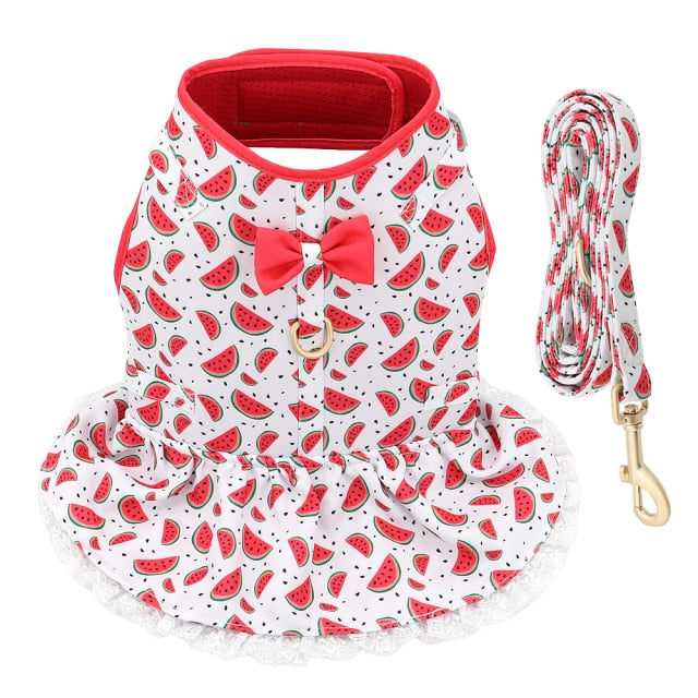 Cute Printed Dog Harness Leash