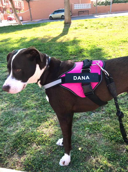 Dog Harness Vest ID Patch Customized Reflective