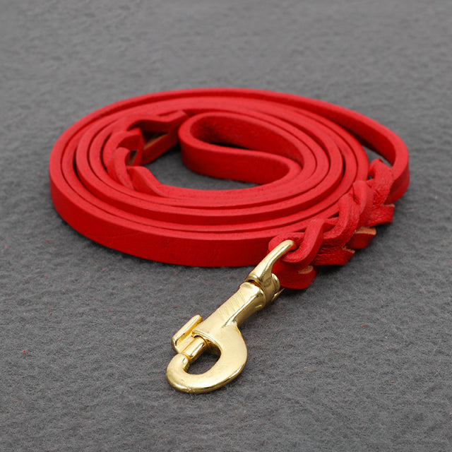 Large Dog Leash Walking Training Lead