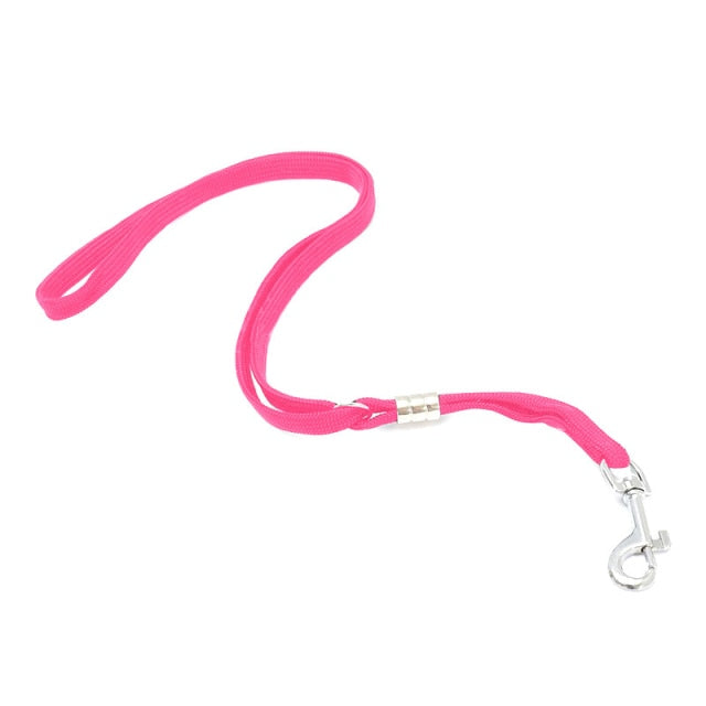 Adjustable Dogs Loop Lock Clip Rope