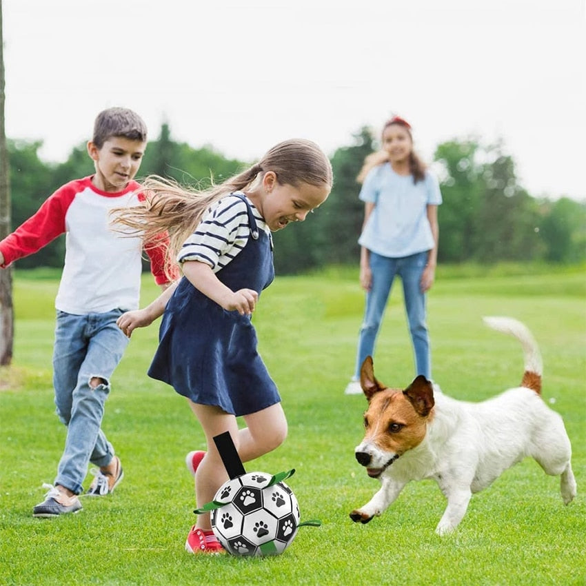 Dog Toys Interactive Pet Football Toys