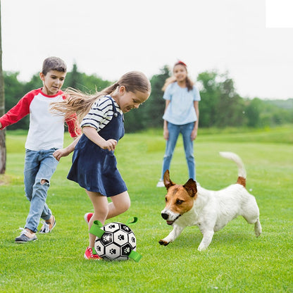 Dog Toys Interactive Pet Football