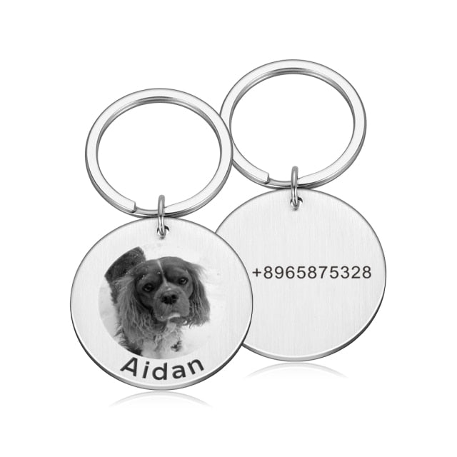 Free engraving Pet Tag Photos Collar