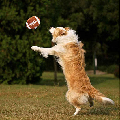 Football Dog Toy Play Puppy Tennis Pet