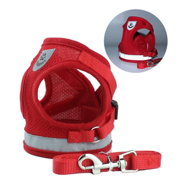 Nylon Dog Harness Leash Set