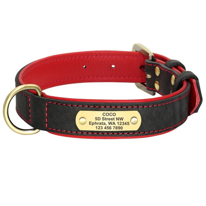 Custom Leather Dog Collar Engraved