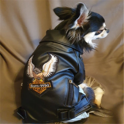 Glorious Eagle Pattern Dog Coat