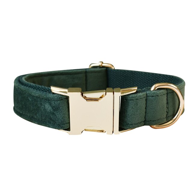 Unique Printing Pet Engraved Collars