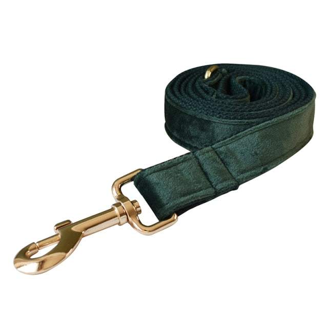 Unique Printing Pet Engraved Collars