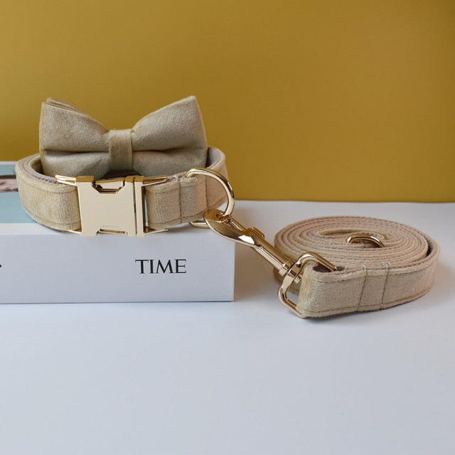 Free Engrave Fabric Dog Collar Leash