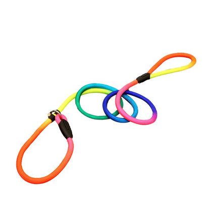 Nylon Leashes Colorful P Chain