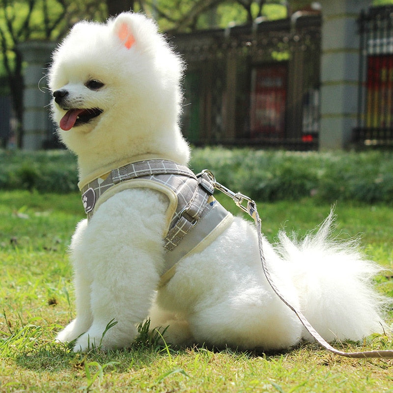 Dog Harness Reflective Chest Strap Plaid