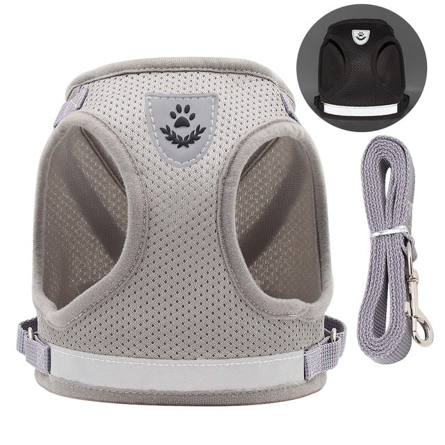 Breathable Cat Harness and Leash Set