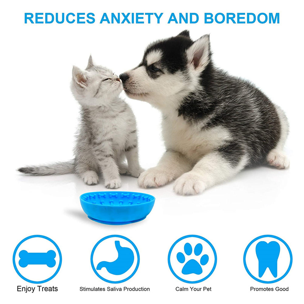 Eating Tableware Puppy Food Bowl Cup