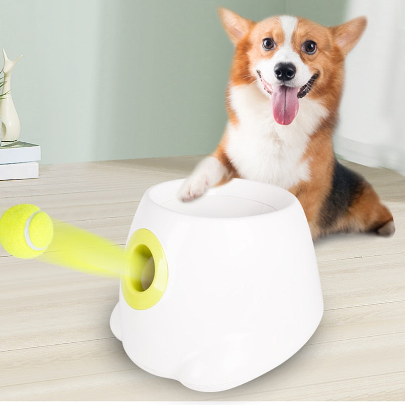 Pet Toys Tennis Launcher Throwing Device