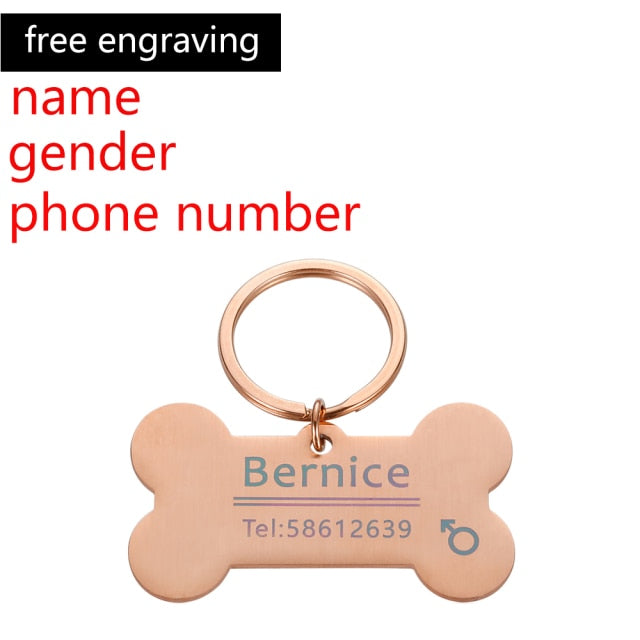 Custom Personalized Pet ID Collar