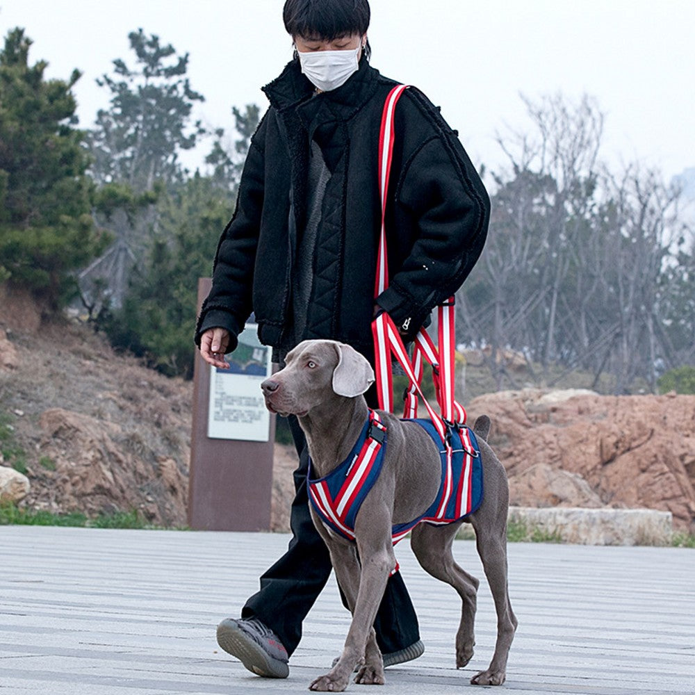 Traction Belt Harness Disabled Dog Auxiliary