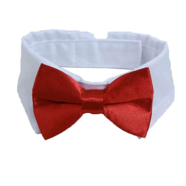 Pet Costume Necktie Collar