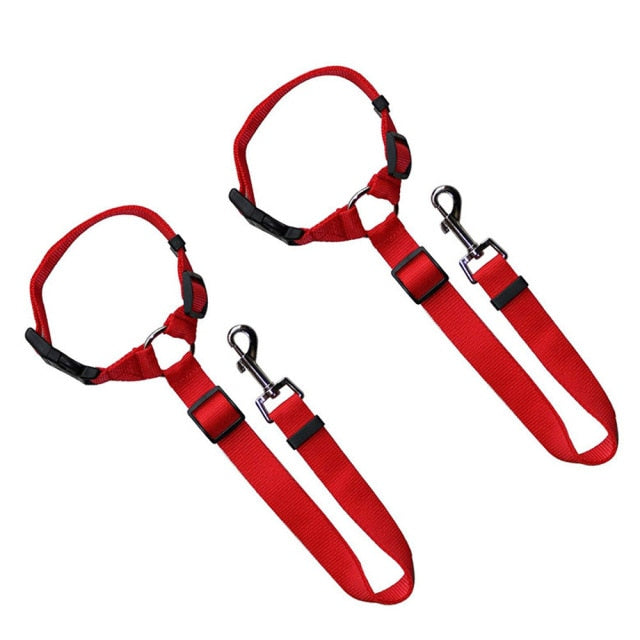 Shaggy Dog Seat Belt Car Safety