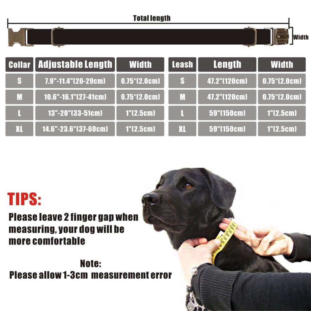 Pet Collar Adjustable Custom Name