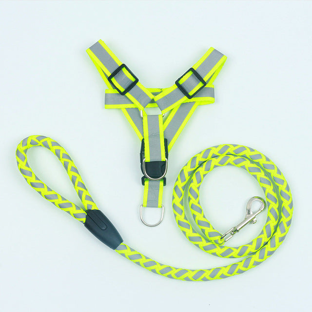 Dog Harness Leash Set Braided Rope