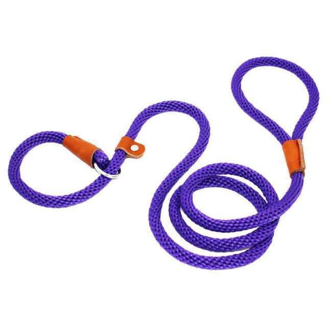Dog Leash Nylon Dog Harness