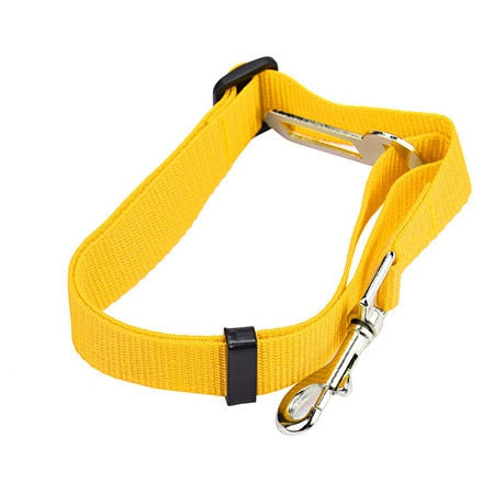 Car Seat Belt Collar Leash