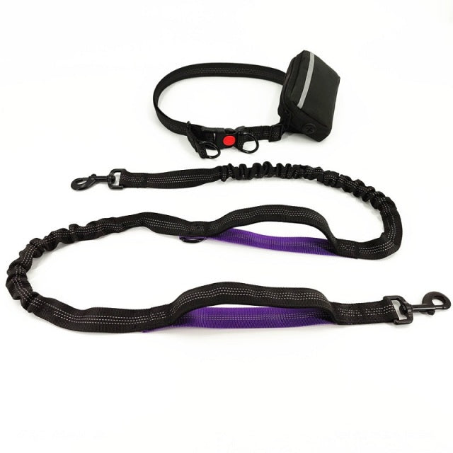Dogs leash running elasticity