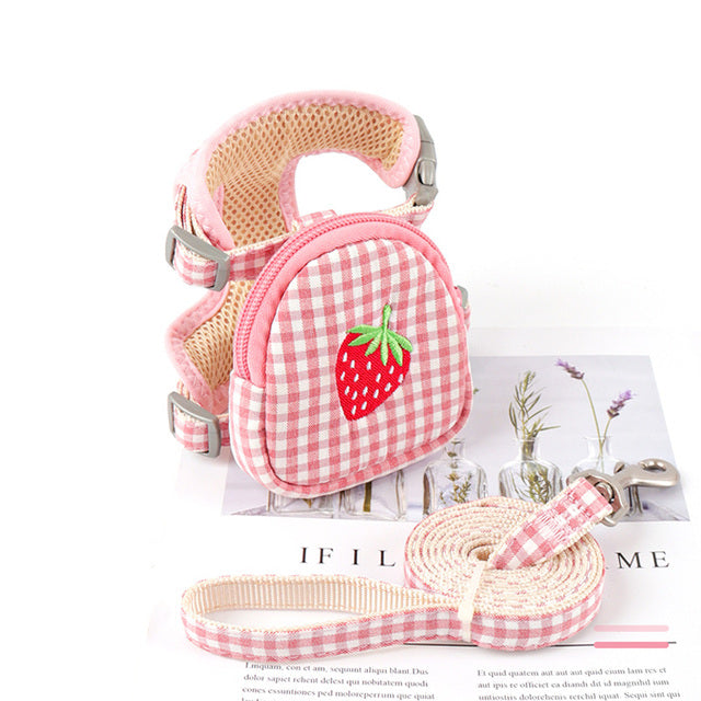Small Dog Harness And Leash Set
