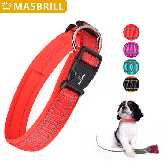 Dog Collar Leash Set Adjustable High quality