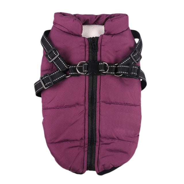 Large Pet jacket With Harness Outfit Vest